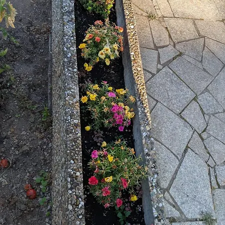 Black Forest Gate شقة Schellbronn